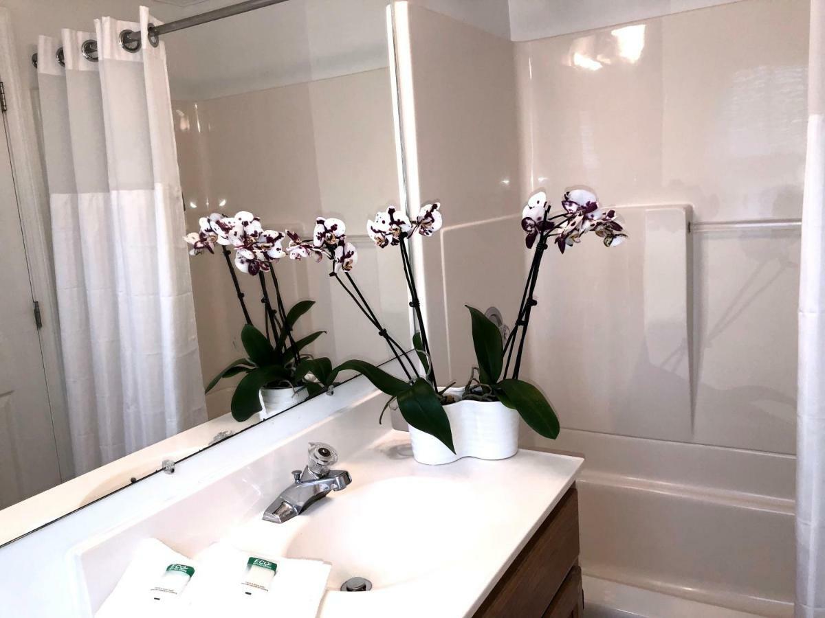 Hyannis Inn 3* Hyannis